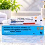 Neo-sporinee Ointment 10 gm pack ( 2 pcs )